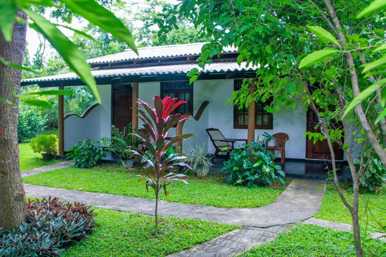 Nimsara Lodge Sigiriya Exterior photo