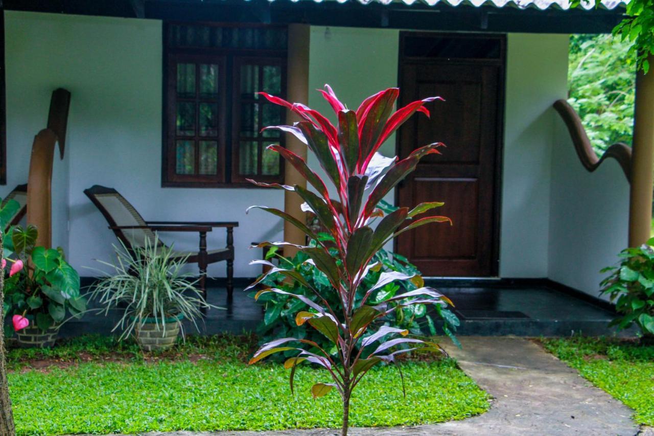 Nimsara Lodge Sigiriya Exterior photo