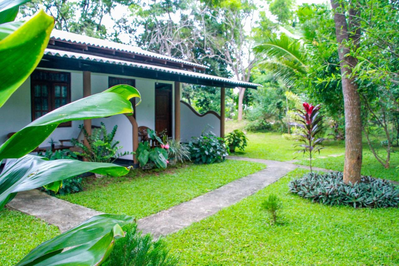 Nimsara Lodge Sigiriya Exterior photo