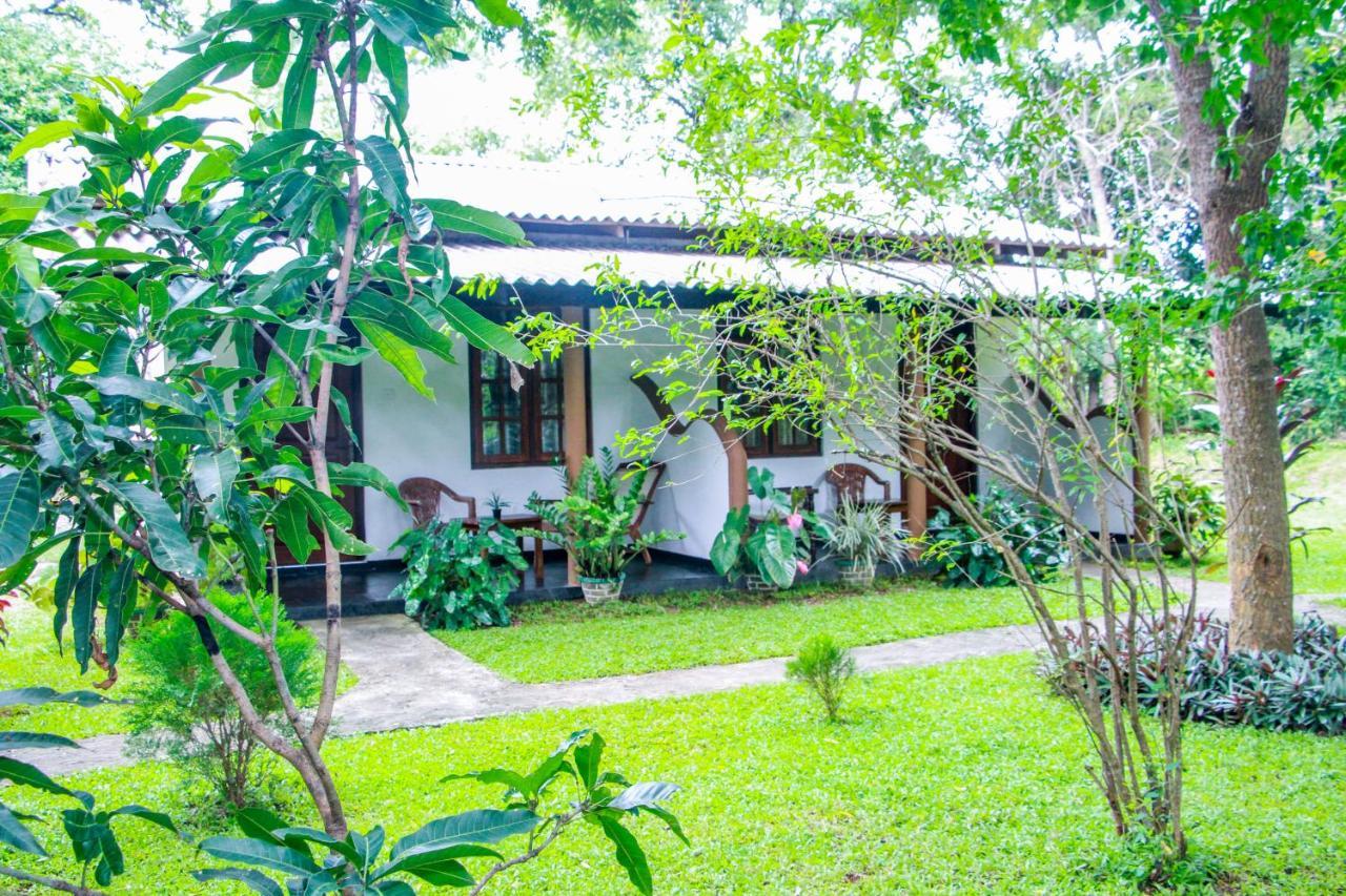 Nimsara Lodge Sigiriya Exterior photo