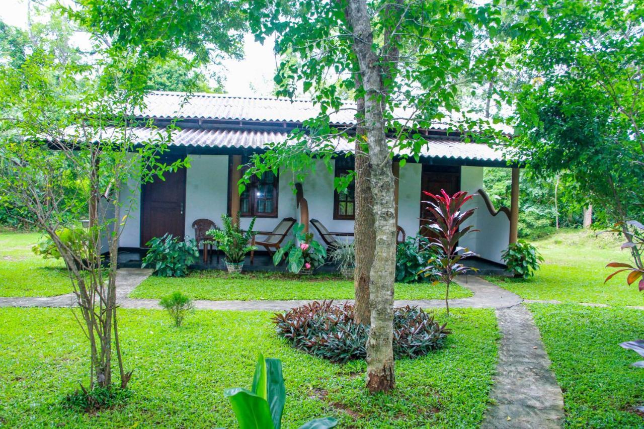 Nimsara Lodge Sigiriya Exterior photo